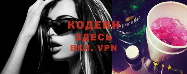 прущие грибы Вяземский