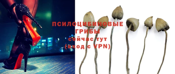МДМА Приозерск