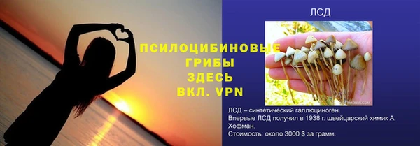 спайс Вязьма