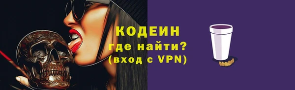 прущие грибы Вяземский
