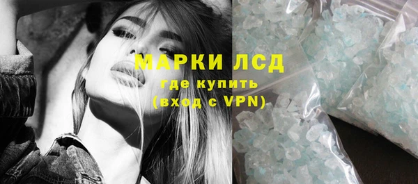 прущие грибы Вяземский