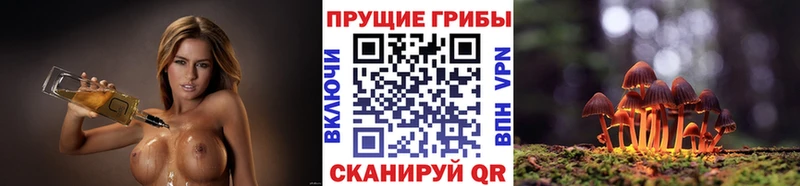 Галлюциногенные грибы мухоморы  Бердск 
